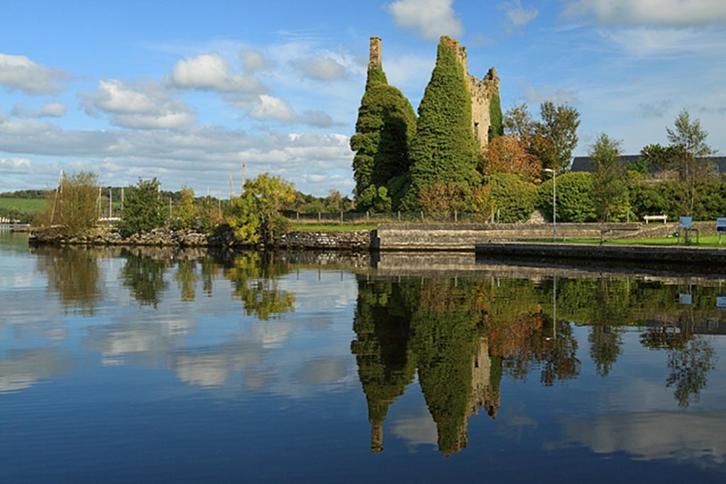 The Well Meadow B&B Nenagh Bagian luar foto