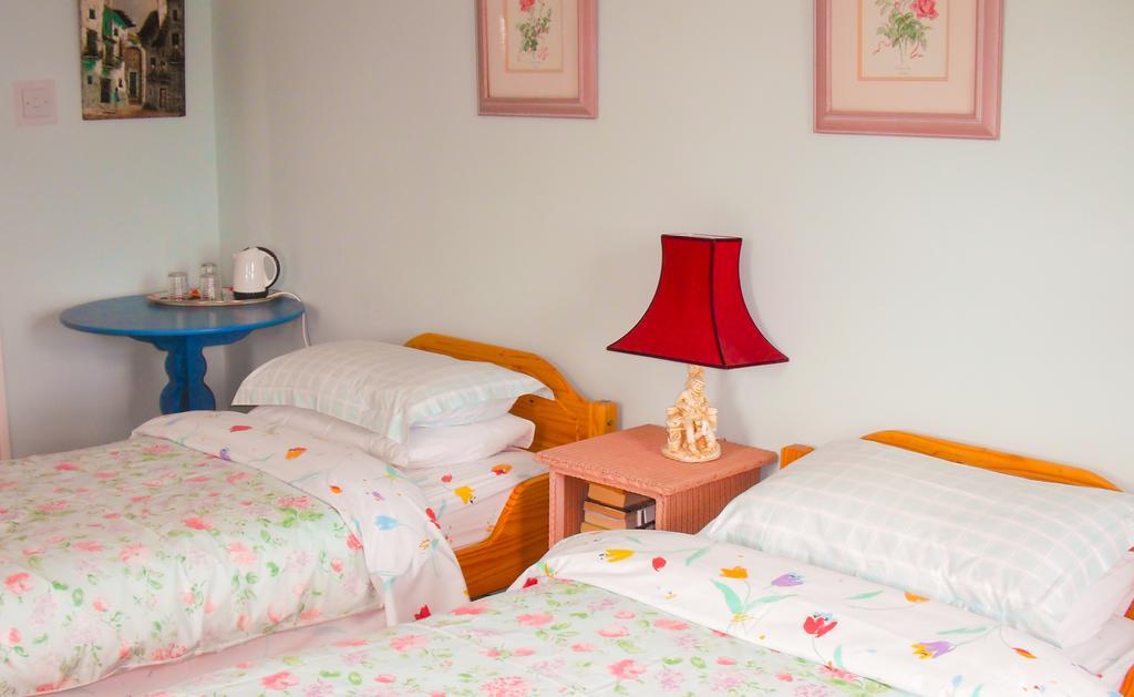 The Well Meadow B&B Nenagh Ruang foto