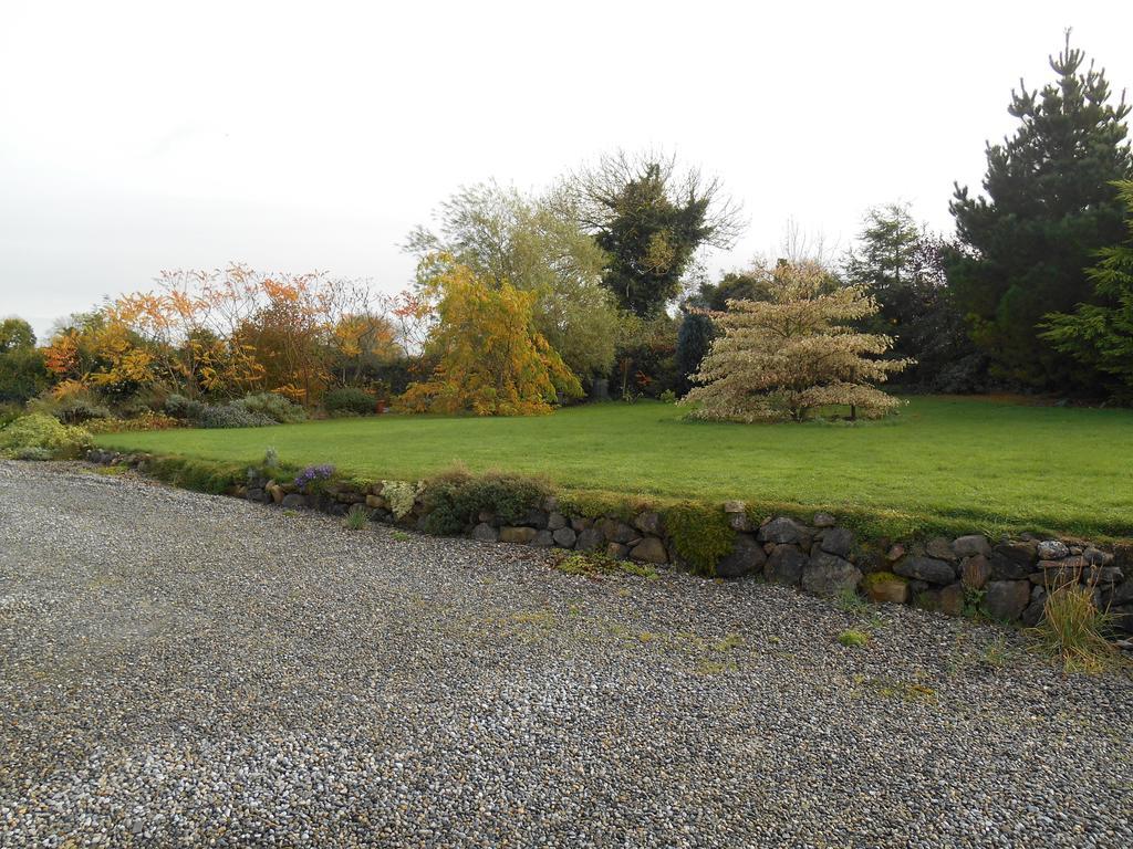 The Well Meadow B&B Nenagh Bagian luar foto