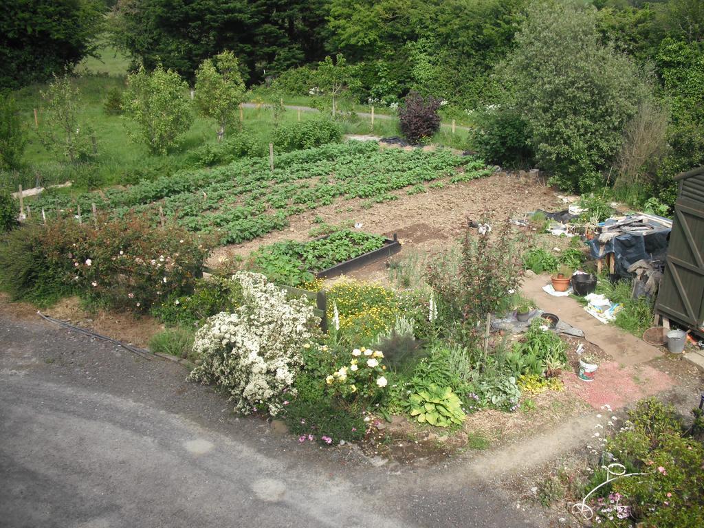The Well Meadow B&B Nenagh Ruang foto